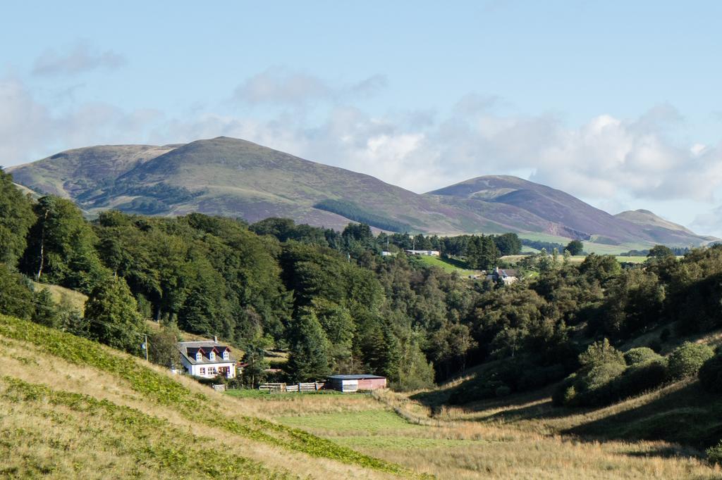 WeAcceptPets's tweet photo. Nestled at the foot of the Pentland Hills, The Allan Ramsay Hotel offers comfortable accommodation, a cosy bar & popular restaurant.
Accepts πΆ
https://t.co/oZ9SNoxWBf
#Carlops #Penicuik #Edinburgh #TheLothians #Scotland #Restaurant #Hotel #DogFriendly #Holiday #Tuesday https://t.co/bYDWukiAsj