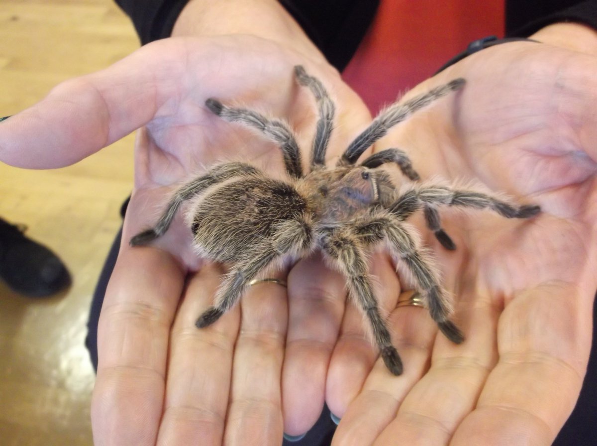 St. John's Primary Academy tweet media