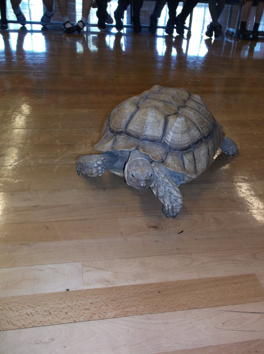 St. John's Primary Academy tweet media