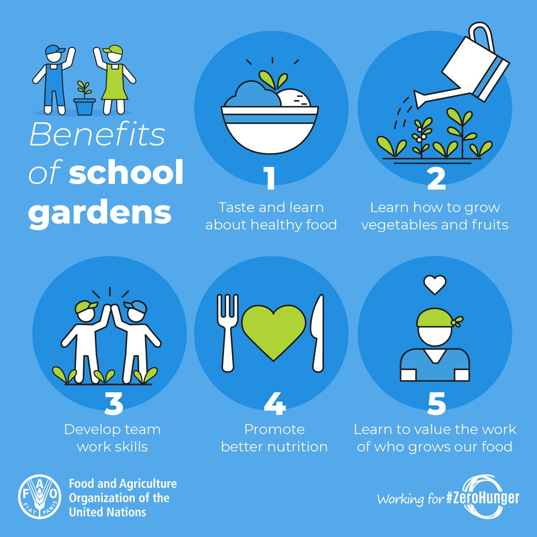 FAO's tweet photo. School gardens are a great way to teach children about healthy eating! 🌱🍓🍏🌽

5 benefits 👇

#HealthyDiets #nutrition #SDG3 https://t.co/dT8qydyEg5