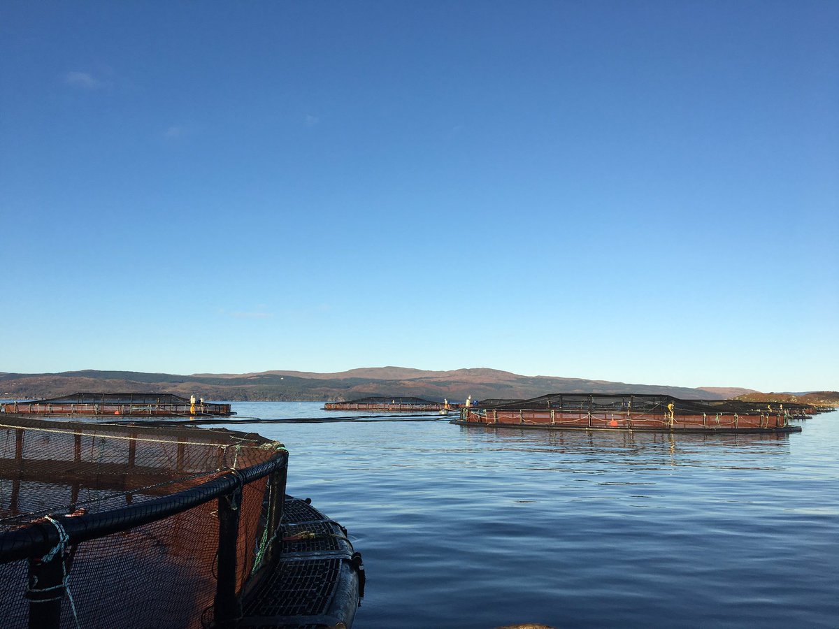 HGSalmonUK's tweet photo. Second S0 post transfer delivery visit underway.  Another happy customer https://t.co/ZkSp4jSp6u