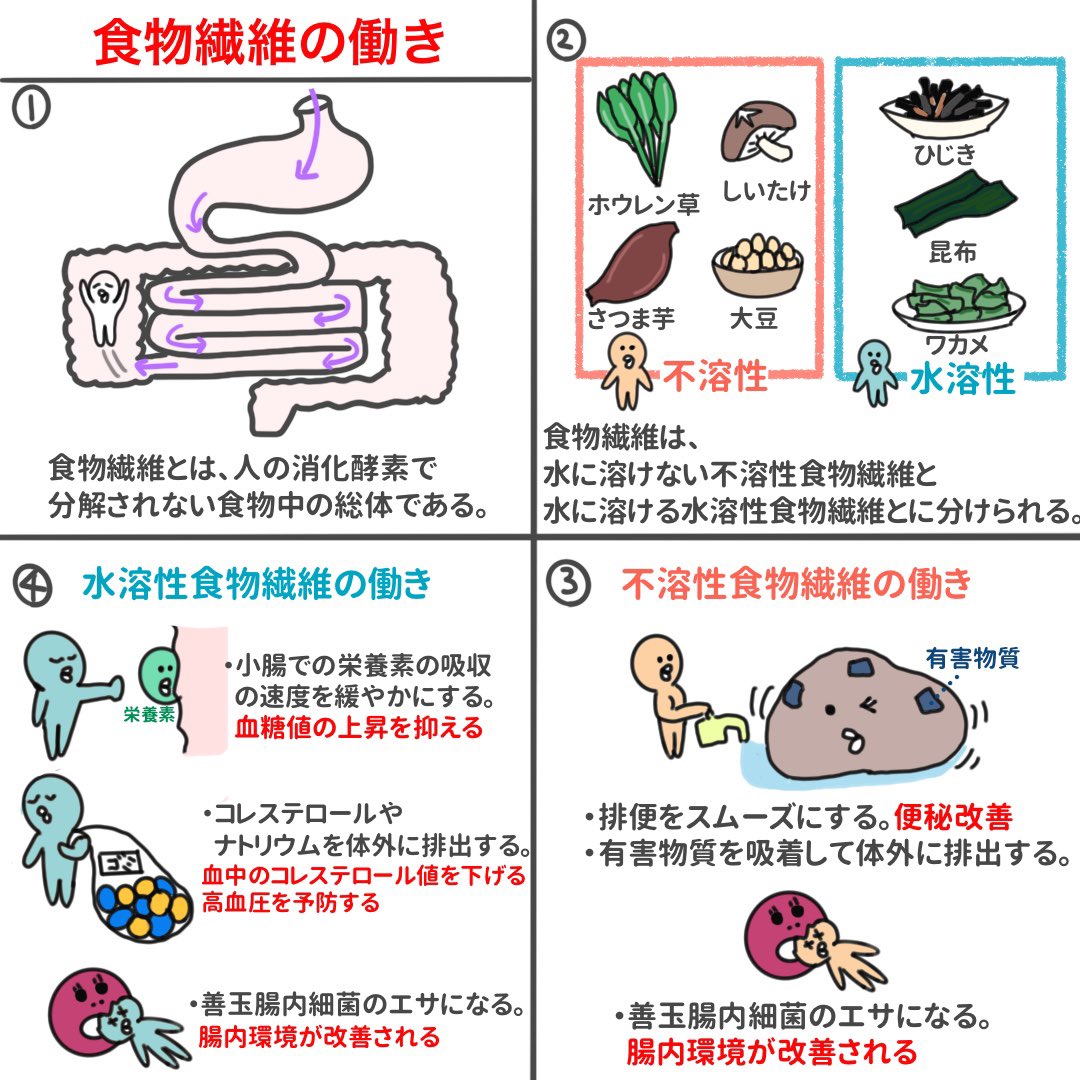ゴロ 解剖生理イラスト على تويتر 4コマ漫画で分かる 食物繊維の働き 結局 食物繊維って何なん って思う人へ 食物繊維が生活習慣病 便秘改善 腸内環境の改善に効果ある理由 ゴロ 解剖生理イラスト على تويتر 4コマ漫画で分かる 食物繊維の働き 結局 食物繊維って何なん って思う人へ 食物繊維が生活習慣病 便秘改善 腸内環境の改善に効果ある理由