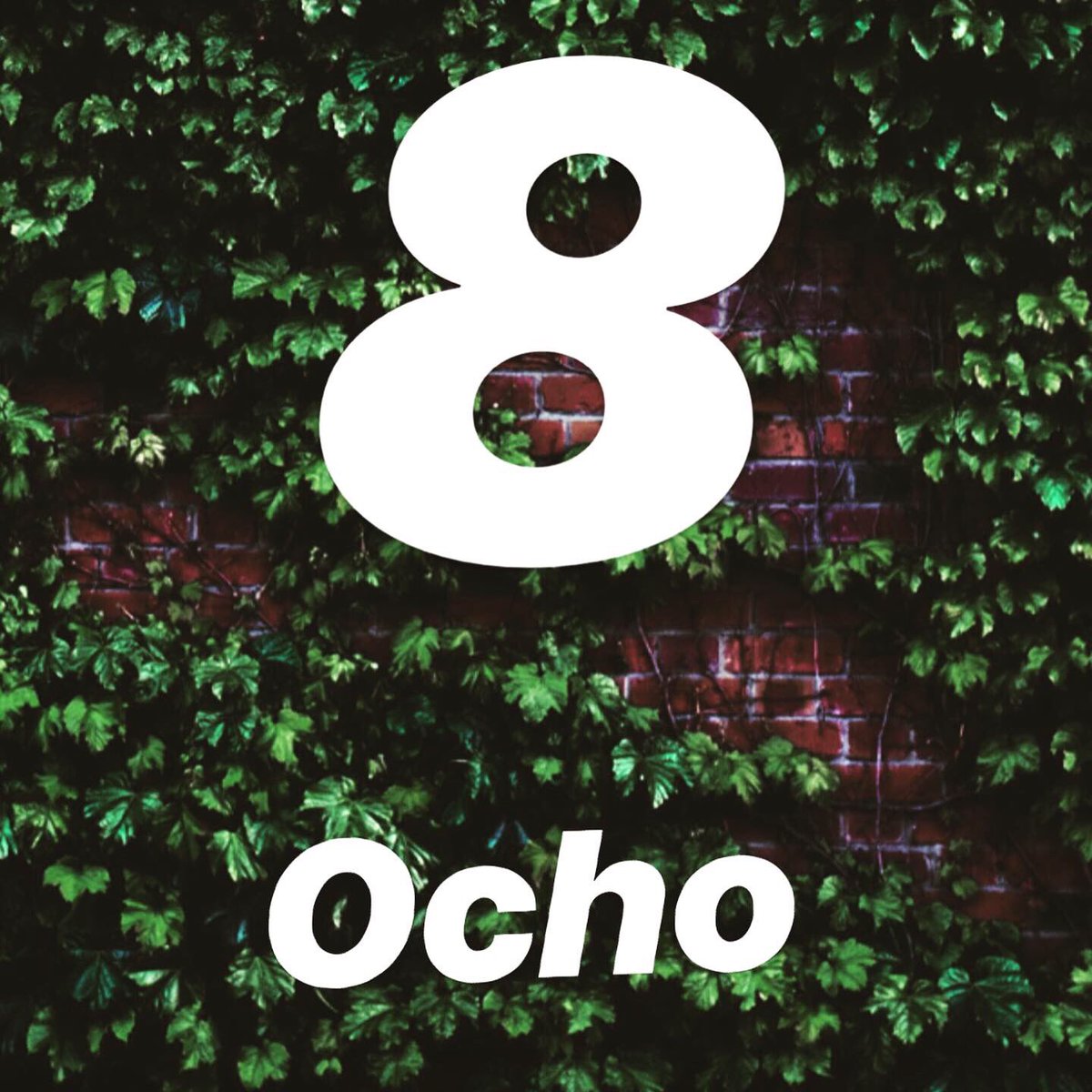 ¡Cuenta los números conmigo!

números 5-8