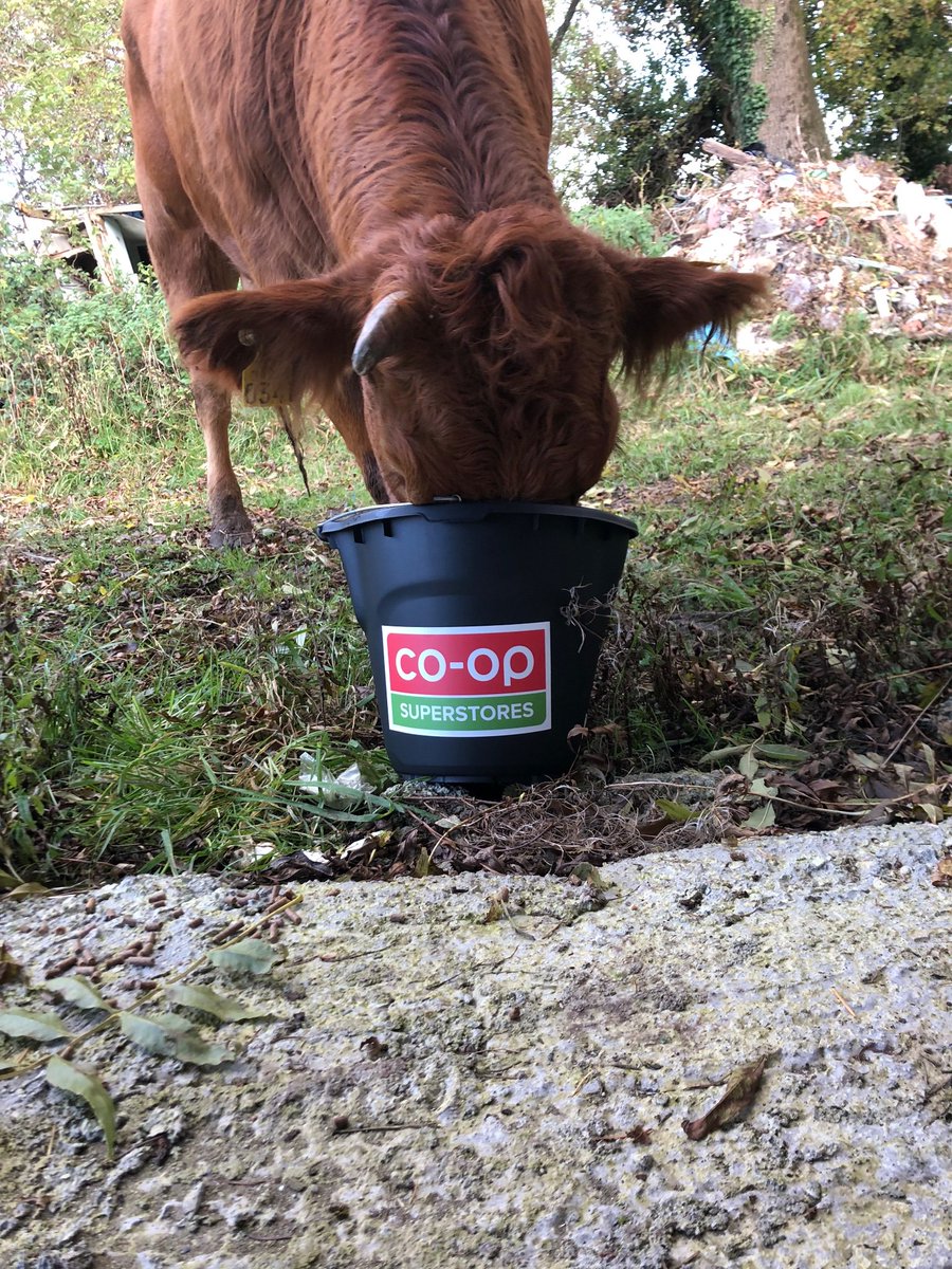 The <a href="/CoOpSuperstores/">CoOpSuperstores</a> buckets.  buckets from the <a href="/MacranaFeirme/">Macra na Feirme</a> Rally came in useful