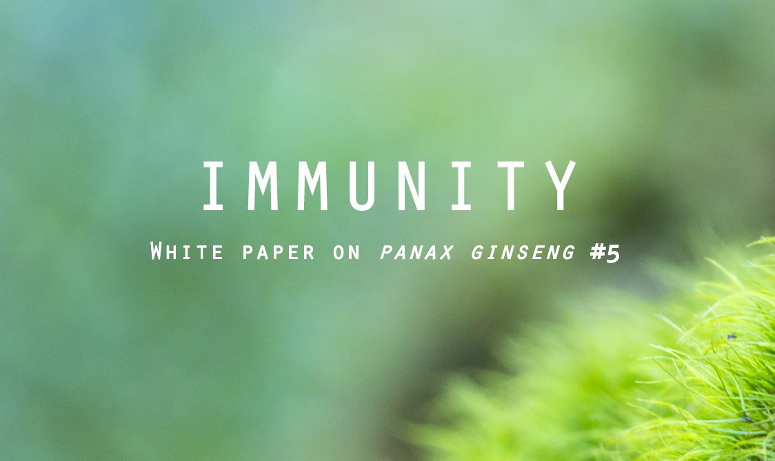 Want to understand the real power of #ginseng on our immune system? Find the answer in the whole root of Panax ginseng. Download our White Paper #5 (bit.ly/31Ql28c) #rareginsenosides #ginsan #gintonin #hgr80 #premiumginseng #naturalingredients #redginseng