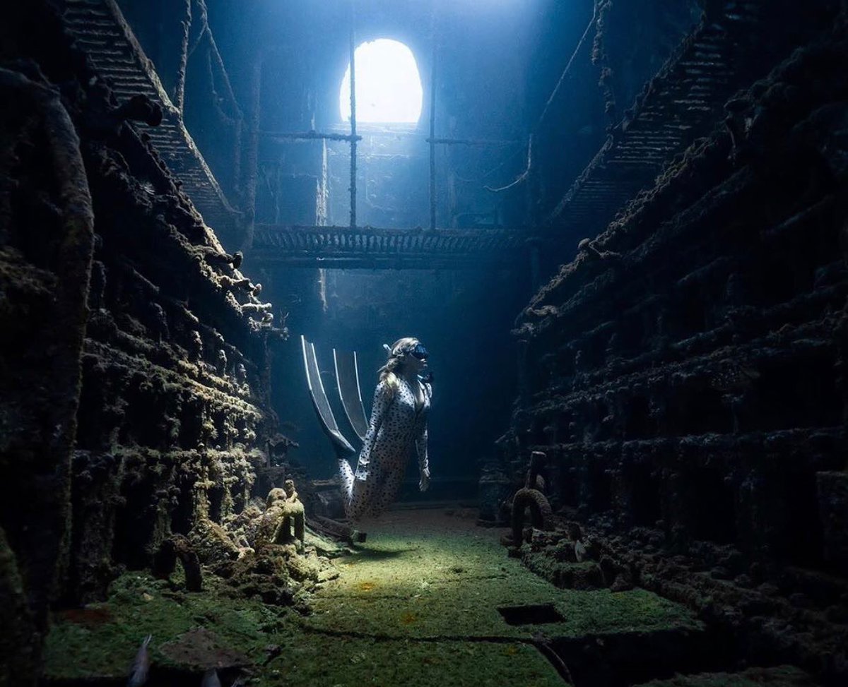 ScubaActive's tweet image. Photo of the day