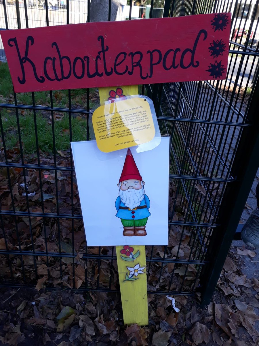 CBSTamarinde's tweet photo. De kleuters hebben vanochtend het kabouterpad gelopen. Op zoek naar paddenstoelen, opdrachtjes uitvoeren en natuurlijk naar kabouters speuren.. https://t.co/VEkqRQuySy