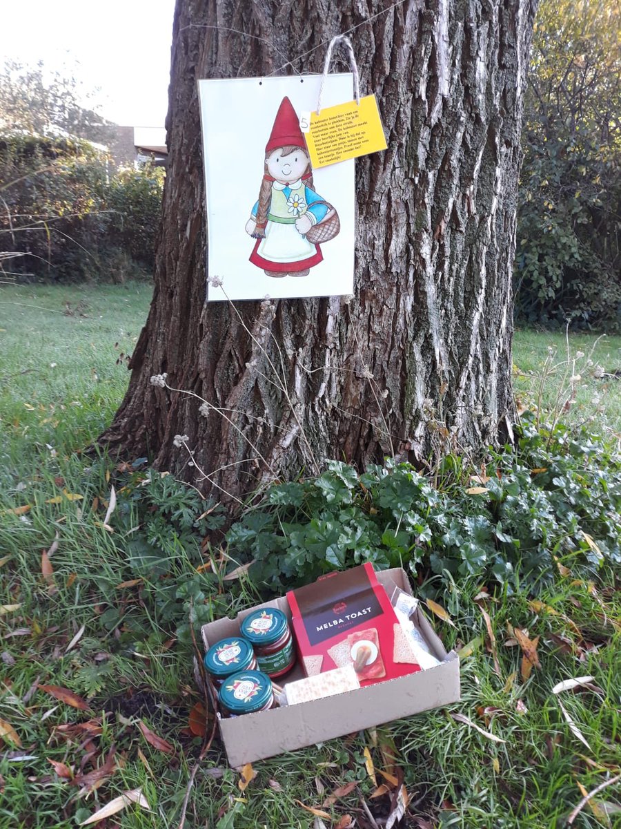 CBSTamarinde's tweet photo. De kleuters hebben vanochtend het kabouterpad gelopen. Op zoek naar paddenstoelen, opdrachtjes uitvoeren en natuurlijk naar kabouters speuren.. https://t.co/VEkqRQuySy