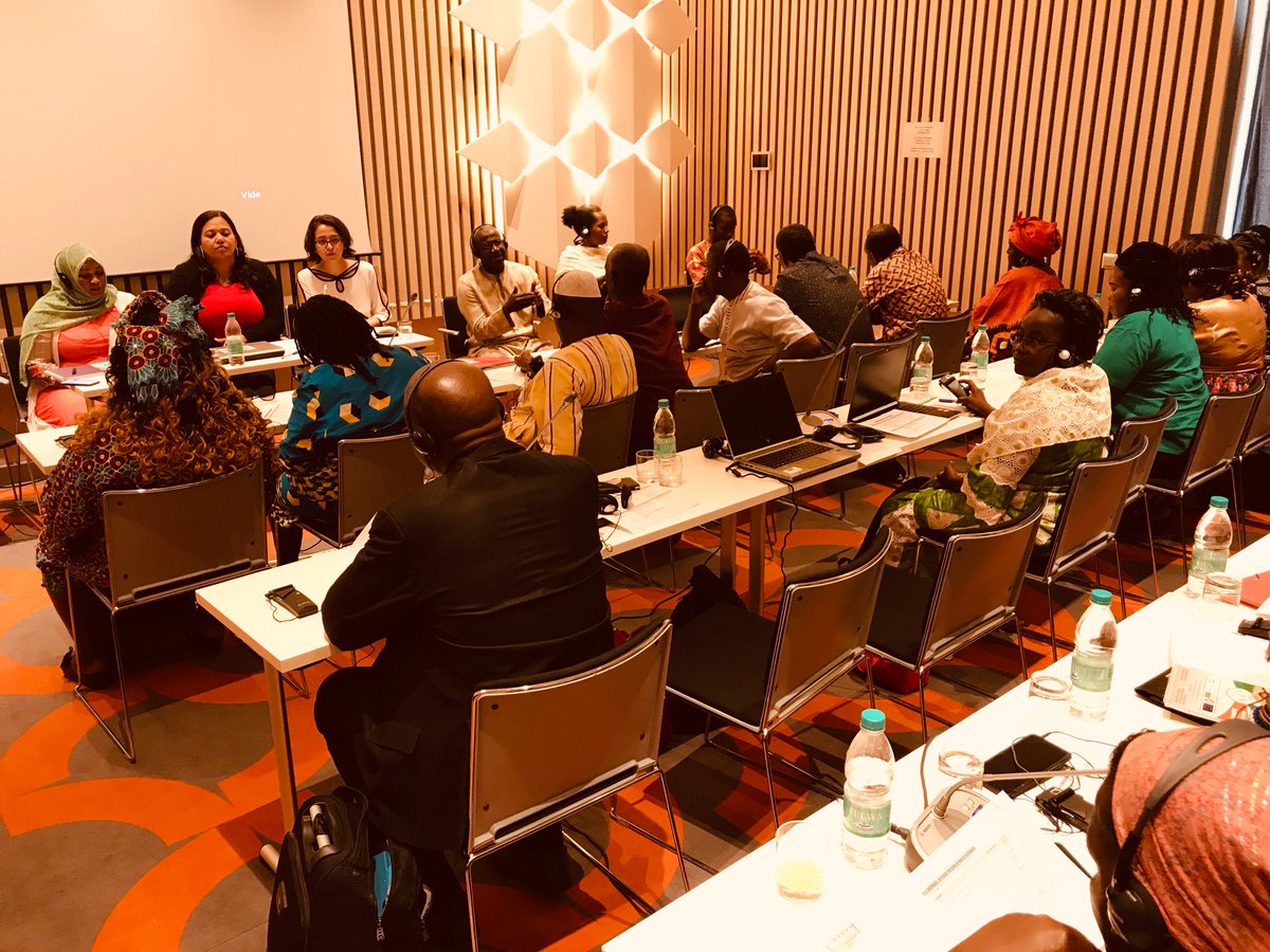 FatmaWangareHaj's tweet image. In a panel this morning representing @InclusionAfric2  in Niamey on education of children with intellectual disabilities. A workshop organized by @adf4africa and Western Africa Federation of Persons with Disabilities #CRPD24  #SDG4