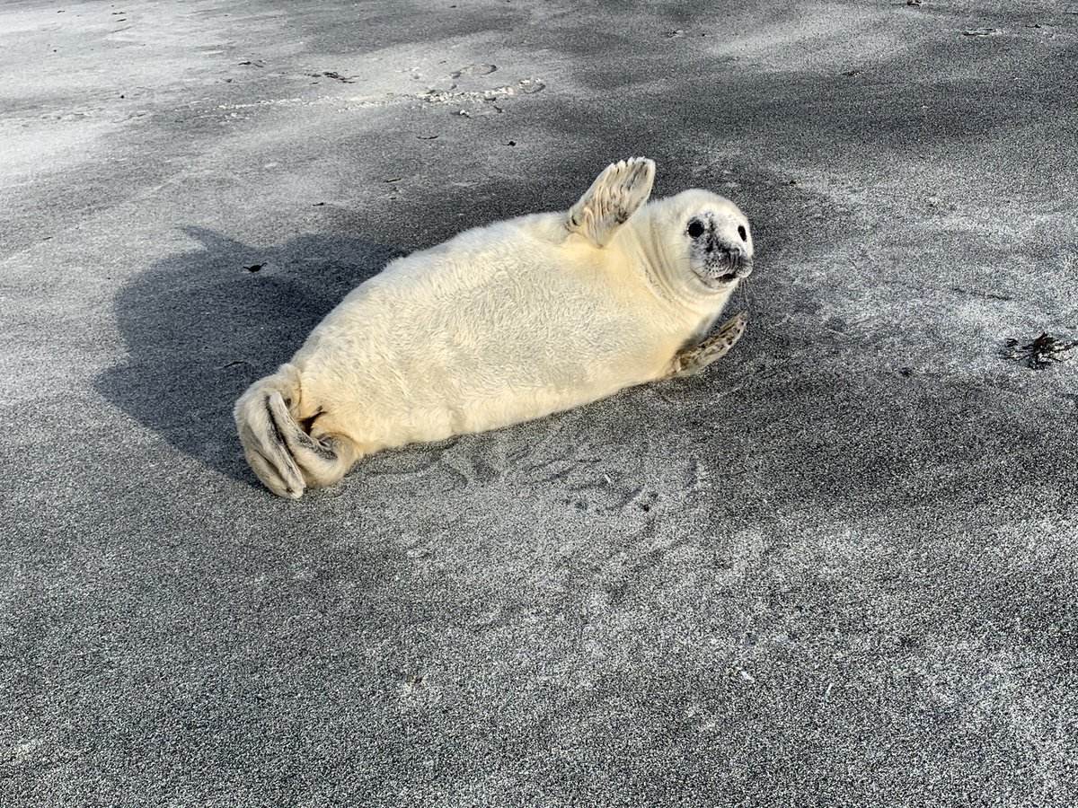 Stunning west beach, Berneray <a href="/VisitScotland/">VisitScotland</a> <a href="/OuterHebs/">Visit Outer Hebrides</a>