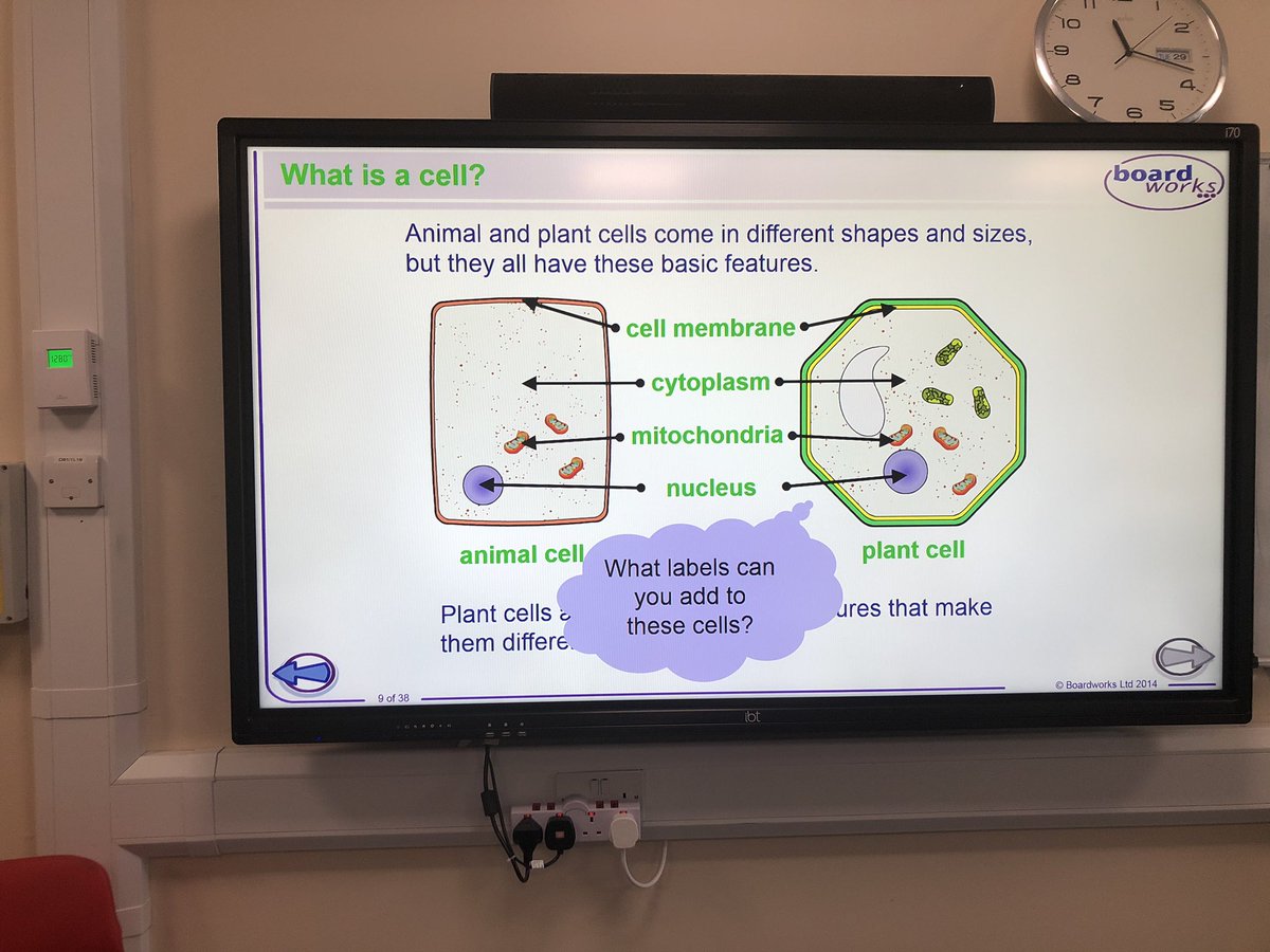 AspireHps's tweet photo. What a wonderful science homework created by Alanya! #cellformation #innovative @HPSFoodTextiles @hpscience https://t.co/rtAfBYfCMc