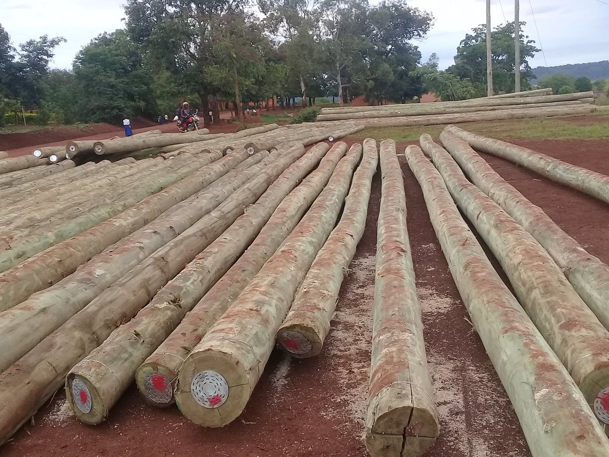 JaylosK's tweet photo. Ni katika uwanja wa michezo s/m; kahama nguzo nyingi zimemwagwa lakini hatujuwi ni kwa shughuli hapa au hiki ni kituo tu, zinaondoka kwenda pengine. Maana kama nikufunga wirelling tulishafunga miaka mitatu zilizopita hakuna kinachoendelea.@MagufuliJP @tanescoyetu #chukuahatua. https://t.co/b2qazHQDZg