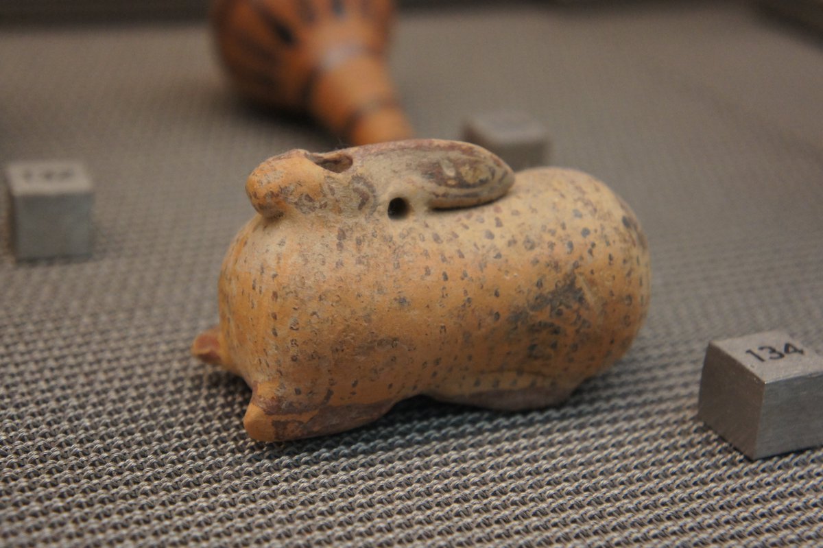 As a zooarchaeologist who studies animal remains, the animals also stand out/5