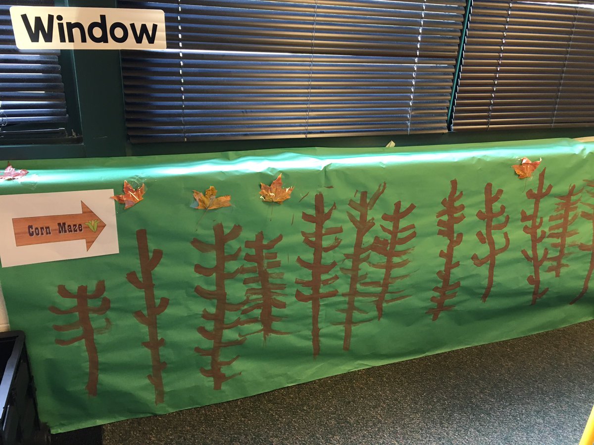 Our class had so much fun planning, designing, and creating a pumpkin patch out of our kitchen and market!