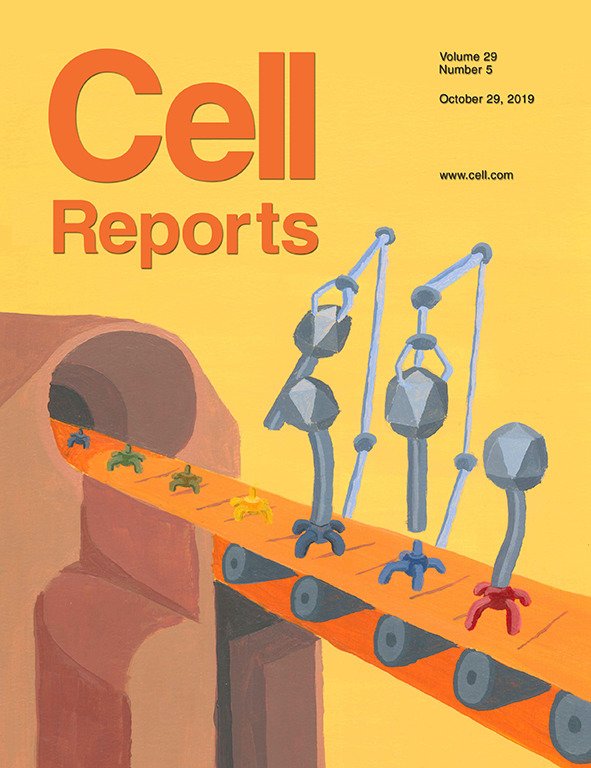 colorblind.arts tweet media