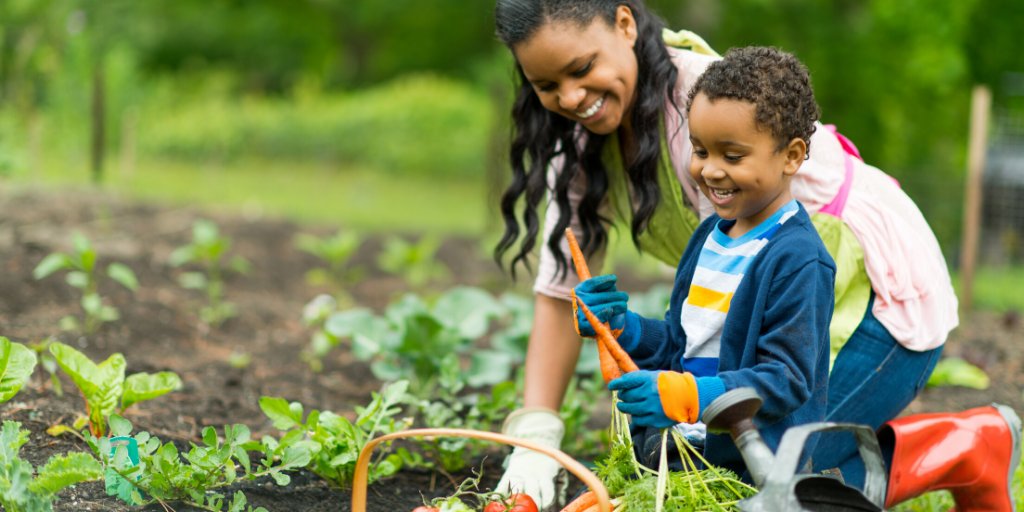 Healthy Directions (@healthydir) on Twitter photo Letting your children eat an unwashed carrot from the garden gives them a natural inoculation of beneficial #bacteria! #Naturopath's tips for raising healthy kids: bit.ly/BSMomTips #childhealth Letting your children eat an unwashed carrot from the garden gives them a natural inoculation of beneficial #bacteria! #Naturopath's tips for raising healthy kids: bit.ly/BSMomTips #childhealth