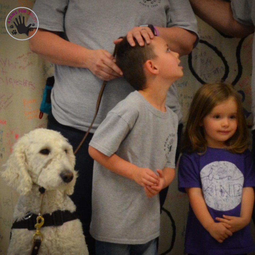 4PawsForAbility's tweet photo. Dad and moms worry a lot about their children. 

We help put their minds at ease. We help you find a best friend and a companion to help you worry less.  🐾 🐶 

#PuppyHouse 🏠 Help us get there.   https://t.co/yuFO0ao1Lz

#4paws #DogLover #servicedog #puppyhouse #puppylove https://t.co/p4xYrTRBxg