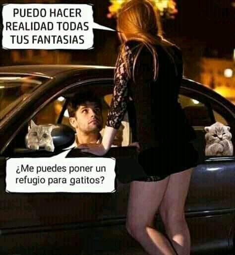 orgifest's tweet photo. Jajajaja 😂 https://t.co/PzLwKupYV9