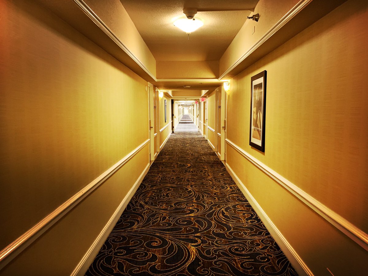 Michelle Rogers tweet media