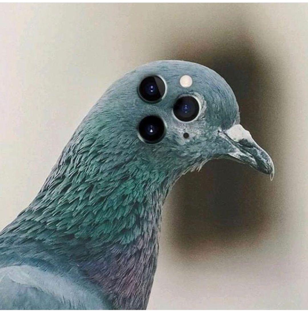 EID6MTSWwAIn1Y3?format=jpg&name=medium