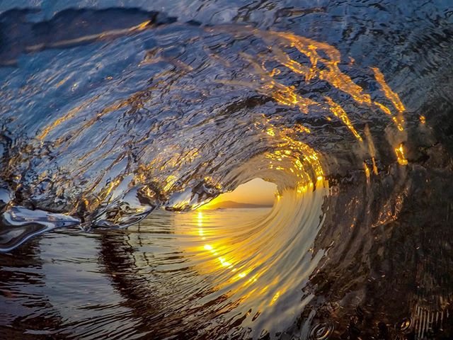 A golden shot by @pacific_0sean ! 👌🏼 Be sure to tag #GoWorx and let us see your best shots!