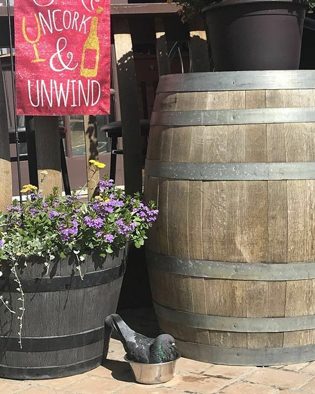 I am not an early bird or a night owl. I am some form of permanently exhausted pigeon. #sanpasqualwinery #SPWSV #seaportvillage #seaportvillagesandiego #seaportvillagesd #pigeon #pigeons ift.tt/31XchJm