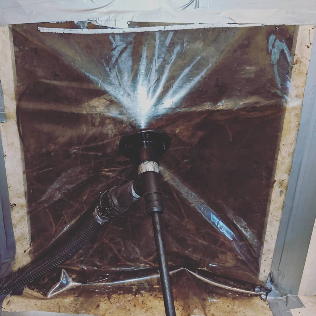 Flamecheck1's tweet photo. My lucky day nest #2 all cleared and now safe to use 🔥🕊
@Flamecheck1 #Flamecheck1 #chimneysweeps #firesafety #getitswept #birds #nest 
We cover #london #Hertfordshire #buckinghamshire #Bedfordshire #Berkshire #essex we are now open 7days a week 👍 https://t.co/bnBTjk9fNd