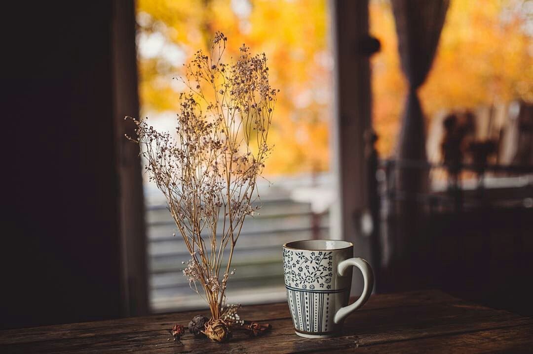 ivancenko96's tweet image. 🍂🍁☕️Подумал сделать опять цепочку☕️🍁🍂
🍂🍁☕️Читай меня(я взаимный)☕️🍁🍂
🍂🍁☕️Делай ретвит☕️🍁🍂
🍂🍁☕️Читай ретвитнувших☕️🍁🍂
🍂🍁☕️Жди новых читателей и не грусти. Всё будет хорошо☕️🍁🍂
#ЦепочкаТвиттерских 
#ЦепочкаФолловеров