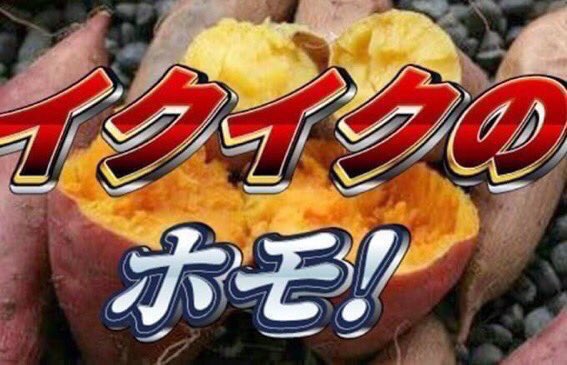 小山田心子 tweet media