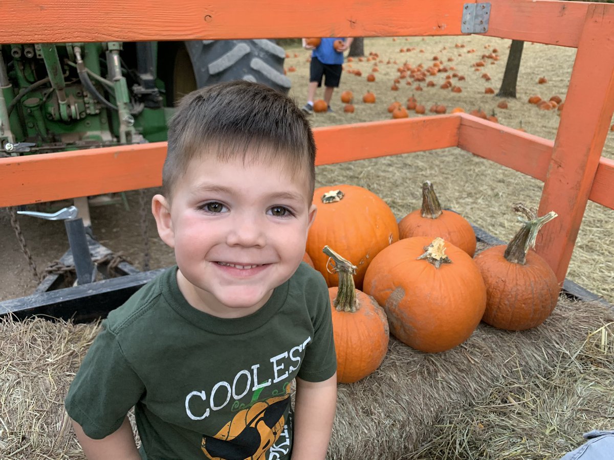 tribe_morgan's tweet photo. We pumpkin patched it up with our little one! 🎃💛
#fallvibes #october #pumpkineverything #pregnancyandinfantlossawareness #rainbowbaby #momlife #momlifeisthebestlife #raisingarrows #raisingmytribe #thisisus #nativeamerican  #chickasaw #atribecalledmorgan https://t.co/v9Ikd6YhBs