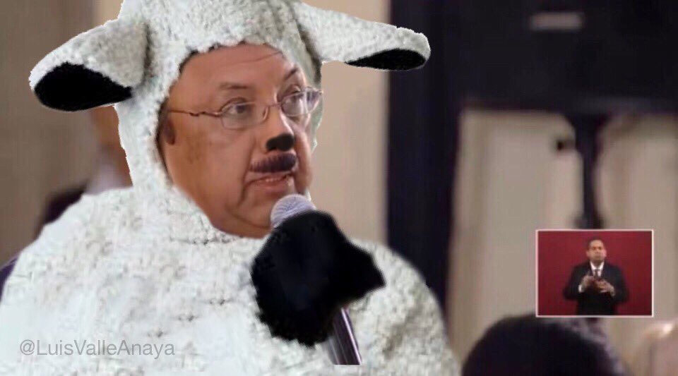 EIJefeDiego's tweet photo. —Querido presidente, por si no me reconoce, soy el Sr. Molécula, mi pregunta es, ¿qué opina usted de mi disfraz de Halloween? https://t.co/3Py1uDE5bG
