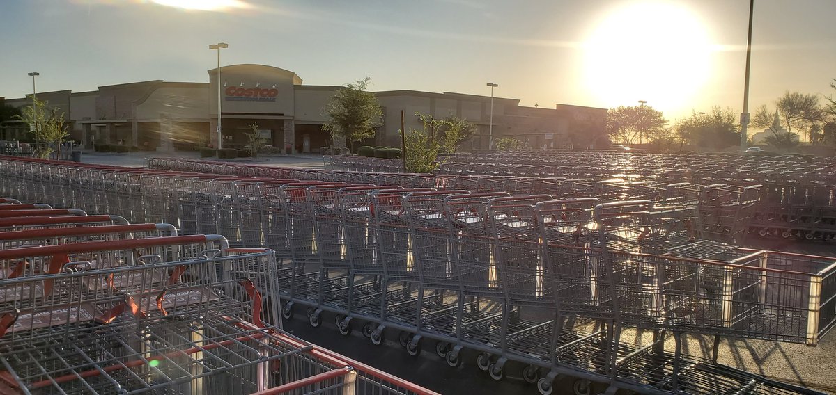 MarcBeasley's tweet photo. It was #AdventureMonday.... Approximately 1,034 carts at @Costco at @SanTanVillage in @GilbertYourTown. https://t.co/GnqymiZy5v