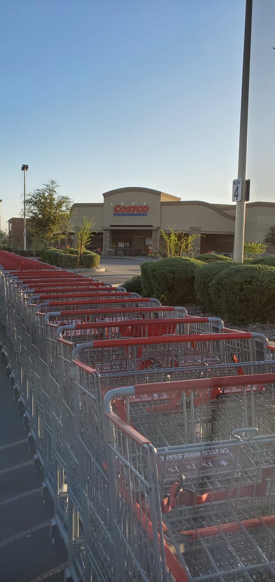 MarcBeasley's tweet photo. It was #AdventureMonday.... Approximately 1,034 carts at @Costco at @SanTanVillage in @GilbertYourTown. https://t.co/GnqymiZy5v