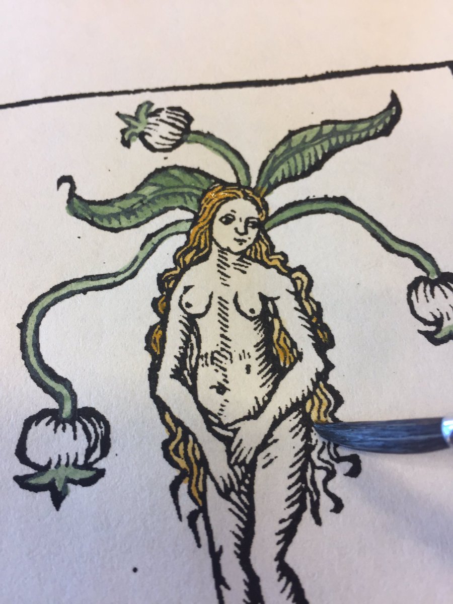 Drebeau's tweet photo. Had great fun with @JessieWHChen at the #kunstlab @UniUtrecht , making watercolors, grinding charcoal and coloring woodcuts. #earlymodern #printmaking https://t.co/9UIG57CIMH