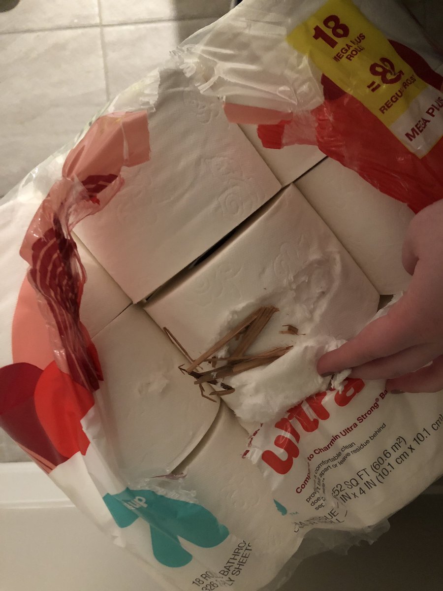 knbrookes's tweet photo. @Target seriously concerned about the wood found in my toilet paper purchased last evening. https://t.co/F0rUCmKfui