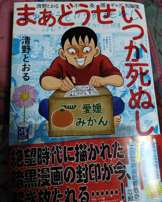 清野とおる先生の短編、「まぁどうせいつか死ぬし」
サイコーにオモシロすぎて脳がハイになりました。ワタシが先生を知ったのは北区赤羽からですが、なぜ先生が不条理ギャグ時代に有名にならなかったのか不思議なくらいです。2枚目はこの漫画で一番好きなコマ。 