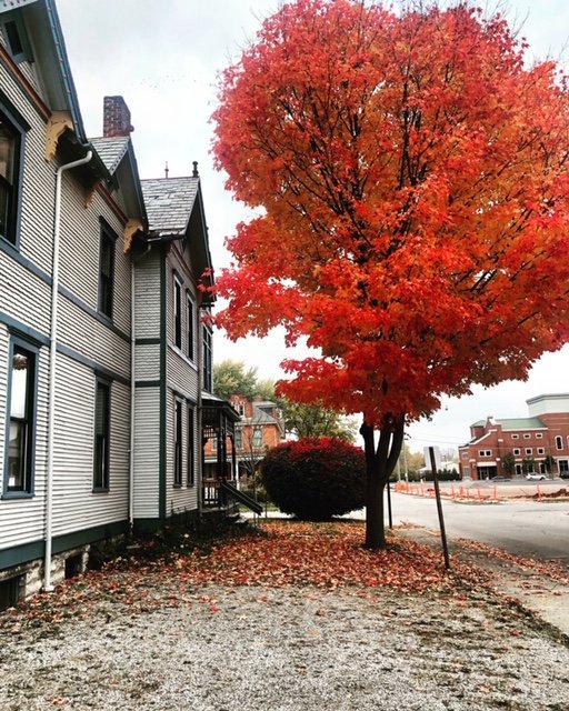 Autumn has given us some beautiful scenery here at Grinsfelder!