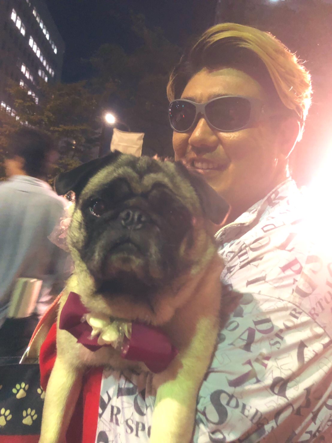 まだ結婚できない男 パグ Twitter Search Twitter