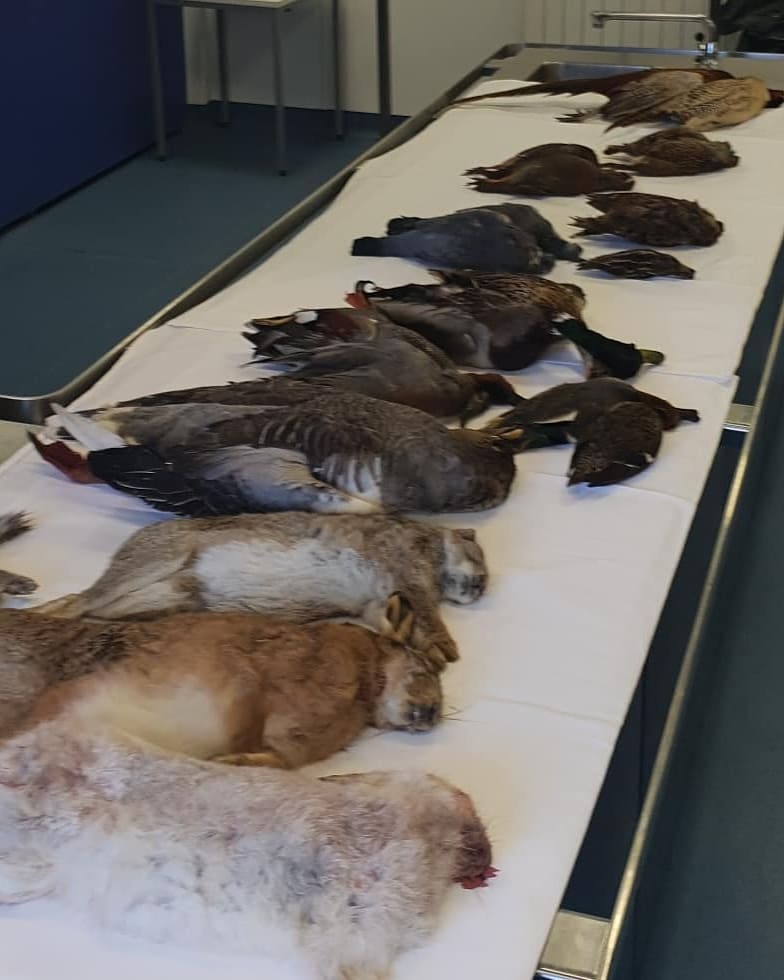 wildfoodboy's tweet photo. Want to know how to get the best out of your Game &amp; Venison? Book onto last few places on the Game Seminar here @Westking with me next week 7th Nov the full days lecture is not just for chefs it's for everyone that has a love of game.  Includes lunch and a game prep booklet. https://t.co/lnHYzSsF9Y