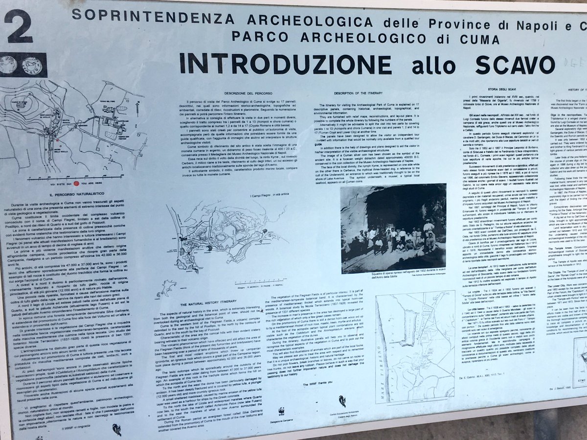 Classics SAP (@sapclassics) on Twitter photo 