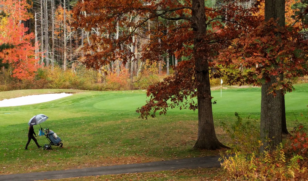 Even though there's a little mist, still come out to play!