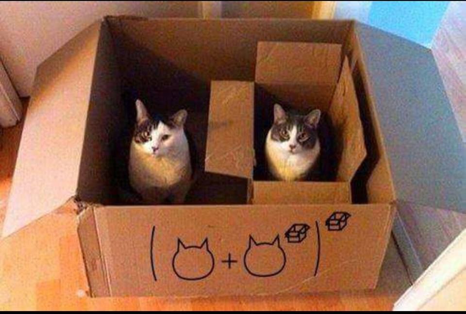 the Center of Math tweet media