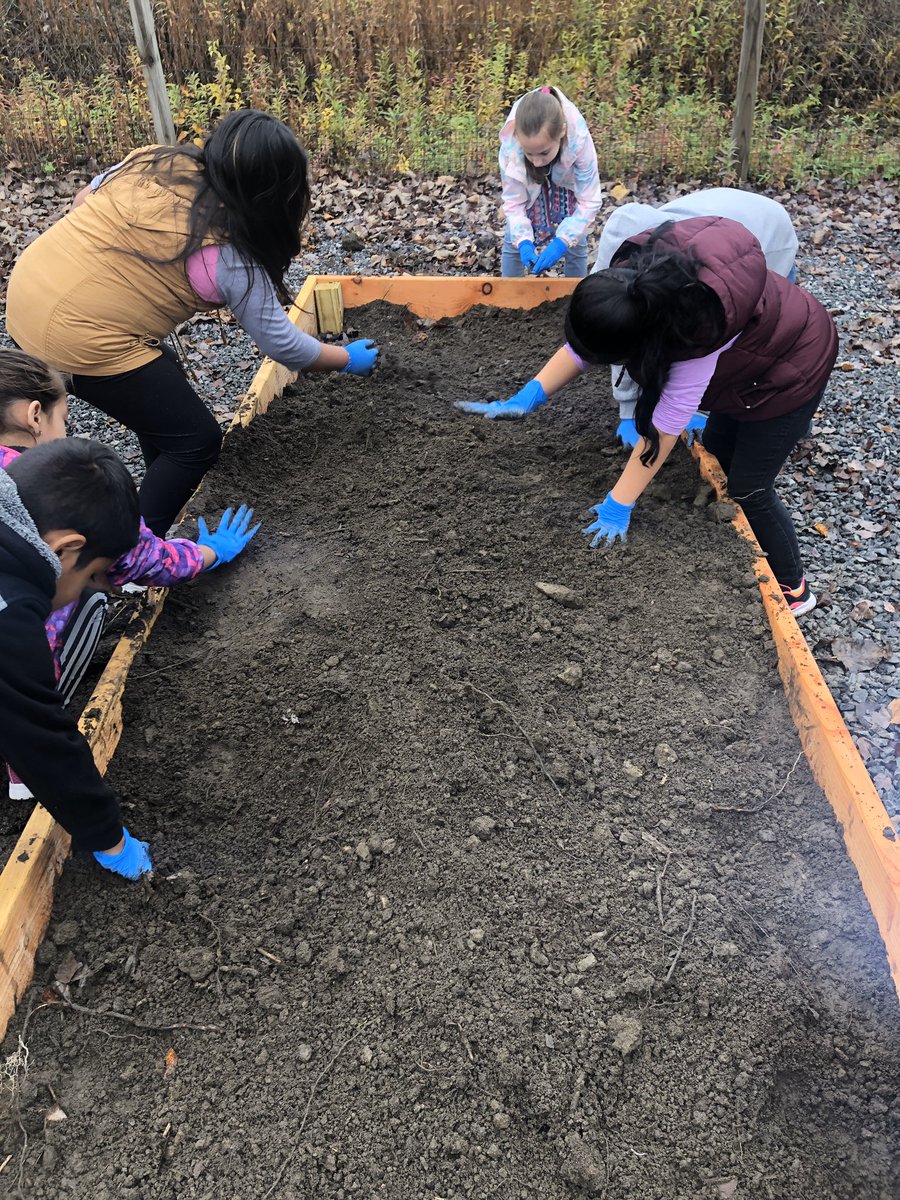 The C.V. Starr Garden is back!!!!! Moments ago our first classes came out to prep our new garden boxes. Thank you to our amazing facilities department, food services, the CVS Garden committee, and our fabulous students.