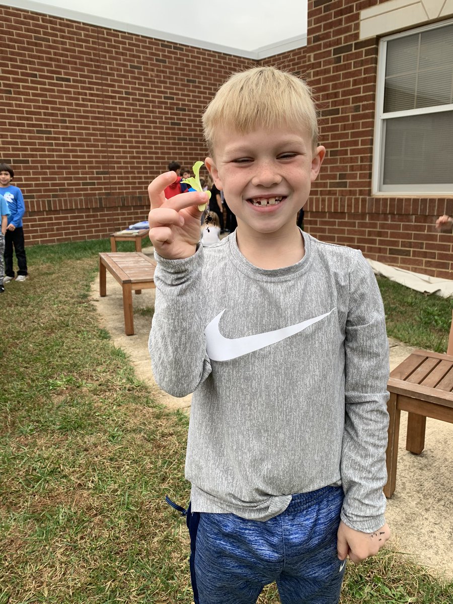 MrsBryantVA's tweet photo. Today we observed the lettuce we planted. We also got to thin our lettuce to allow space for the lettuce to grow. @ANStweets #saladscience https://t.co/skve1V19o0