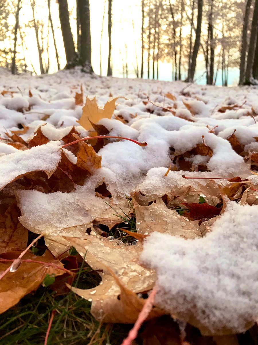 UPSupplyCo's tweet photo. We’ve got snow on the ground folks! It’s gorgeous out here. https://t.co/PJg6e7sZud