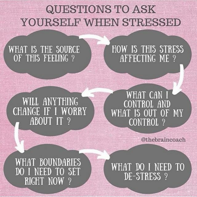 lmullertherapy's tweet photo. 🤔🧘‍♂️ https://t.co/XNoxe7Awha https://t.co/CnLhrfWYKS