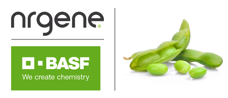 .<a href="/BASF/">BASF</a> (<a href="/BASFAgro/">BASF Agricultural Solutions</a>) &amp; <a href="/NRGene/">NRGene</a> collaborate to accelerate crop breeding to improve results in BASF soybean breeding projects 

Read more>> nrgene.com/press-releases…

#agtech #plantbreeding #soybean #plantgenomics #agbusiness