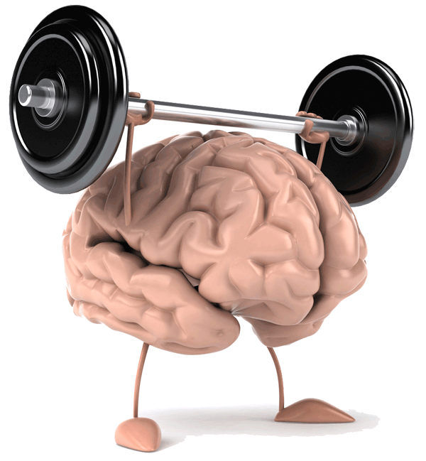 MemoryMentalist's tweet photo. It takes on average between 3 and 10 times to lock information into your brain permanently, so trying to recall something you've looked at once is completely ineffective. Revise frequently and effectively. #TuesdayTip #WorkYourBrain https://t.co/KnZRnLVZ8e