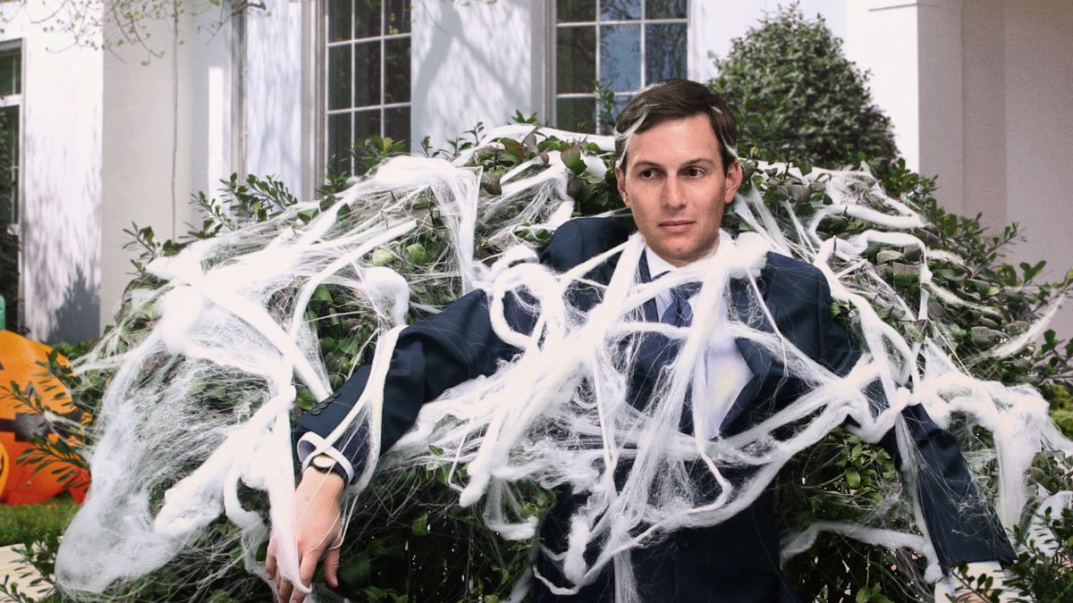 TheOnion's tweet photo. Jared Kushner Spends Fourth Consecutive Day Silently Ensnared In Decorative White House Spider Webs https://t.co/2dBNMQOPg5 https://t.co/EAtvnVRsGS