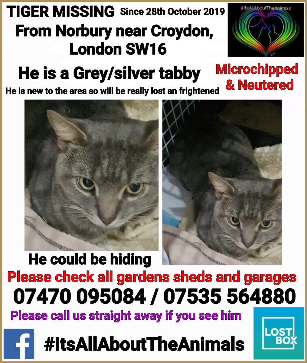 Angela Hoy tweet media